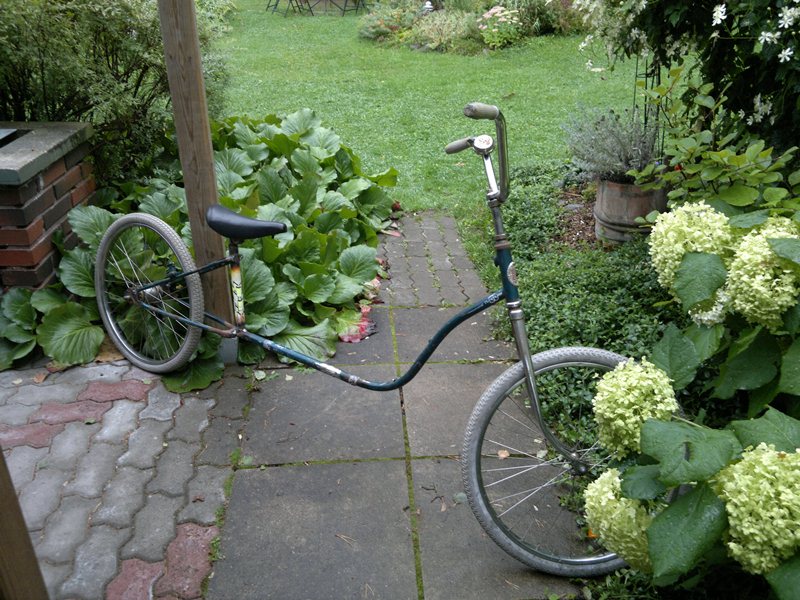 11092010007.jpg